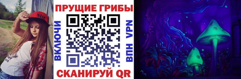 Псилоцибиновые грибы GOLDEN TEACHER  Вытегра 